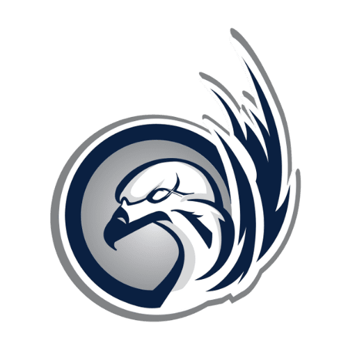 Nest Hockey Academy