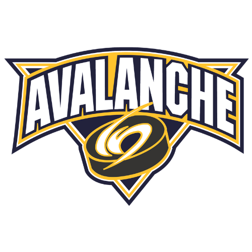 North Jersey Avalanche